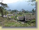 Sikkim-Mar2011 (190) * 3648 x 2736 * (6.28MB)